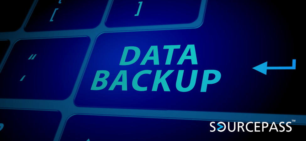 Why Data Backup and Protection are Essential | Sourcepass